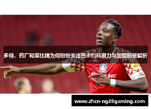 多特、药厂和莱比锡为何纷纷关注巴卡约科潜力与加盟前景解析