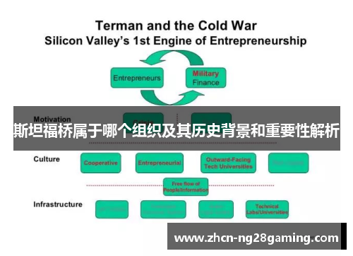 斯坦福桥属于哪个组织及其历史背景和重要性解析
