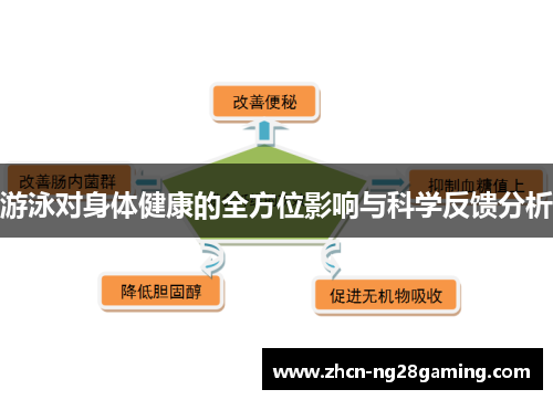游泳对身体健康的全方位影响与科学反馈分析