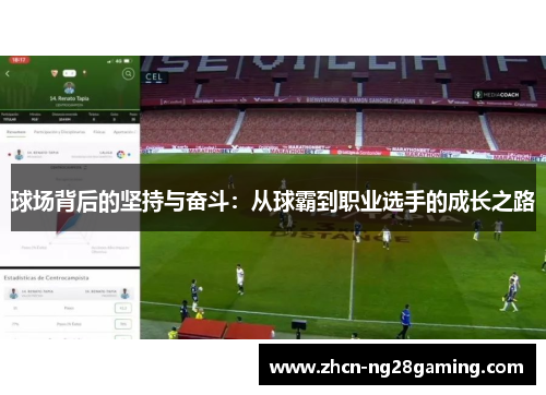 球场背后的坚持与奋斗：从球霸到职业选手的成长之路