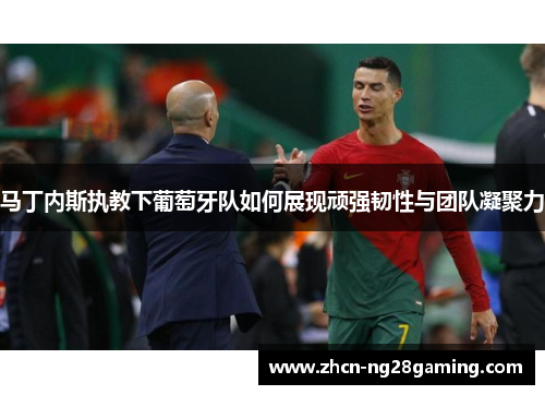 马丁内斯执教下葡萄牙队如何展现顽强韧性与团队凝聚力