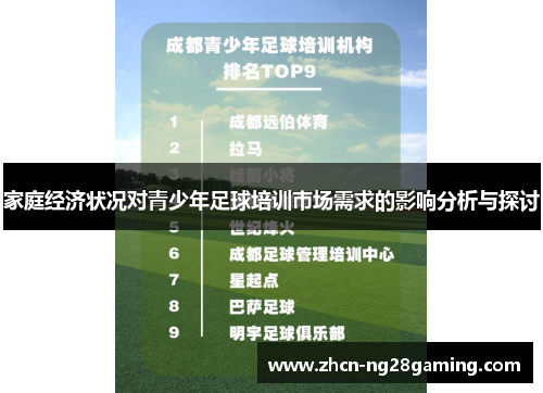 家庭经济状况对青少年足球培训市场需求的影响分析与探讨