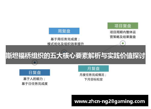 斯坦福桥组织的五大核心要素解析与实践价值探讨